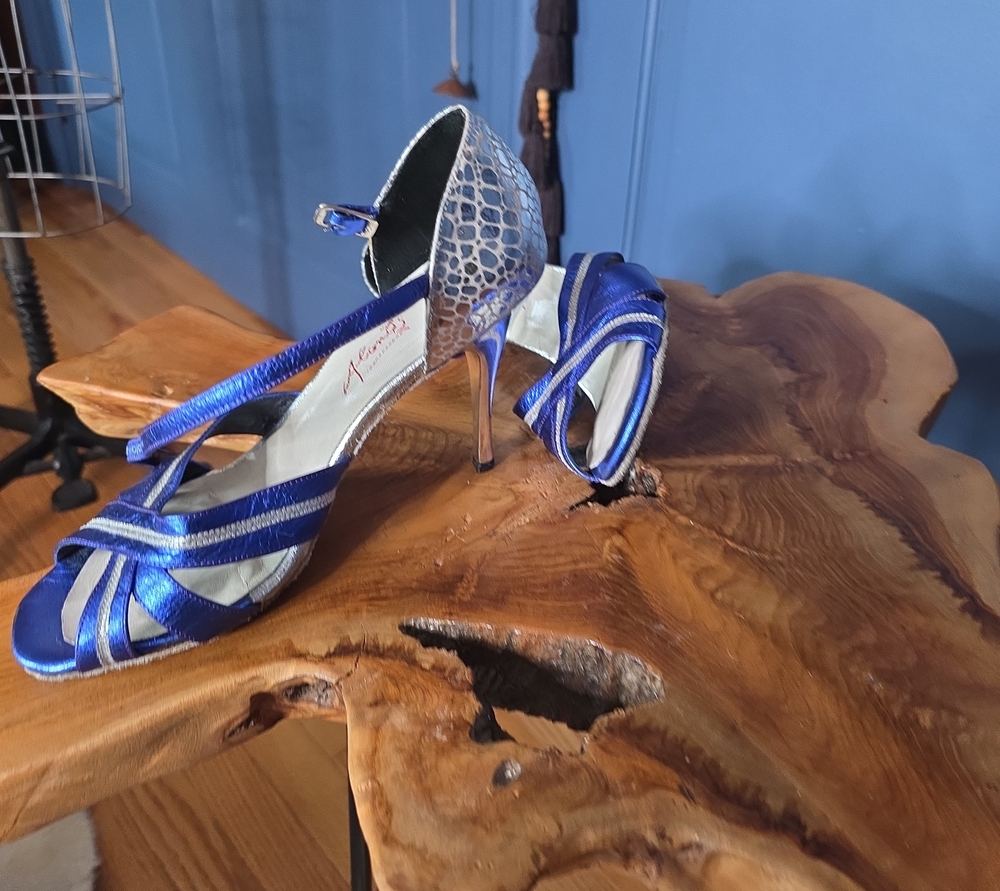 Alonis Metallic Blue & Silver Salsa Tango Dance Shoes Strappy Heels Alonis